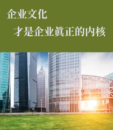 企业数字化转型中软件定制开发的关键技术路径分析
